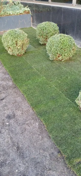 Construcción Jardinería