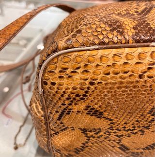 Secchiello in rettile