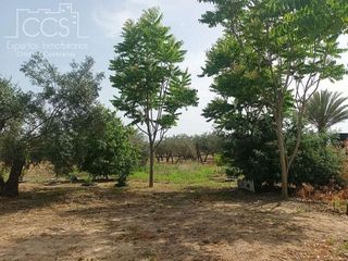 Casa rural en venta en Almonte en Almonte