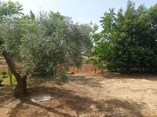 Casa rural en venta en Almonte en Almonte