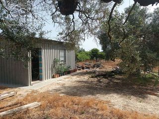 Casa rural en venta en Almonte en Almonte