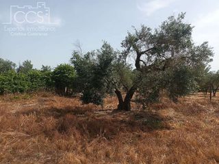 Casa rural en venta en Almonte en Almonte