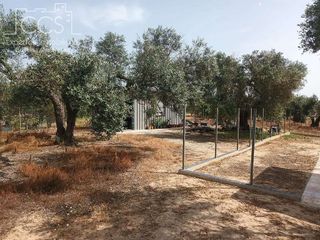 Casa rural en venta en Almonte en Almonte