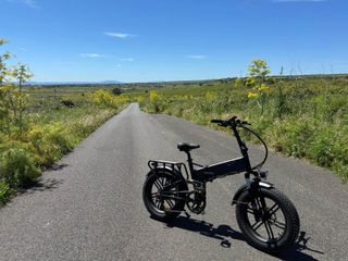 Bicicleta Eléctrica Engwe Engine X 250W