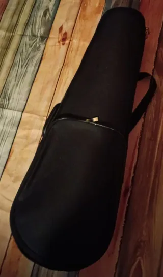 Violín Infantil 1/8 Negro Mate Nuevo