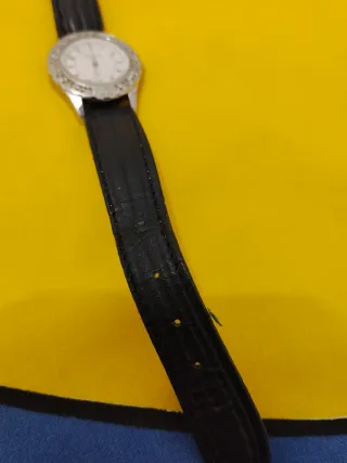 Reloj Mujer Paul Versan