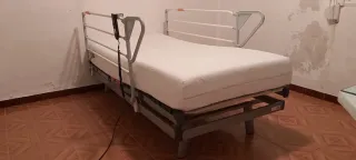 Cama Articulada Eléctrica Pardo