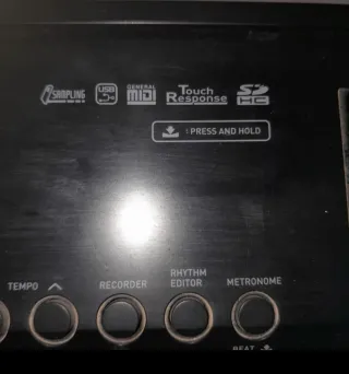 Piano Casio Profesional