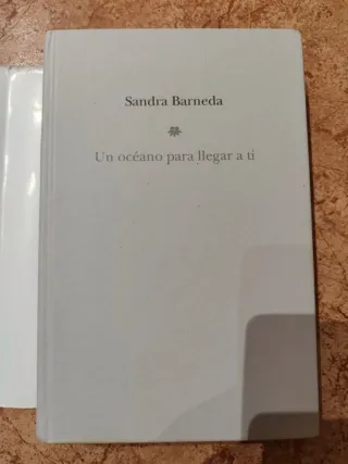 Un océano para llegar a ti: Finalista Premio Pl...