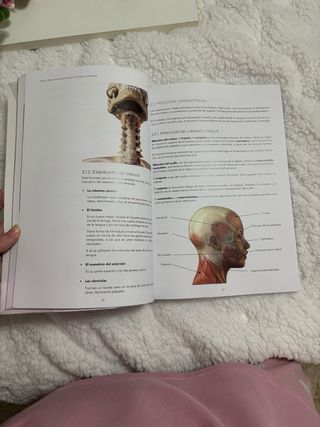 Libro Estudio de la Cavidad Oral ILERNA