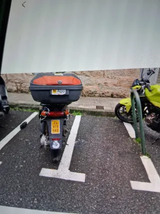 Piaggio Typhoon ciclomotor