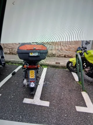 Piaggio Typhoon ciclomotor