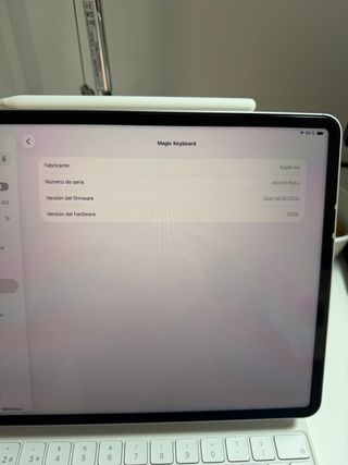 iPad Pro 12.9 512GB Plata 6ª Wifi+Celular