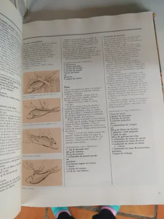 Libro de alimentación natural