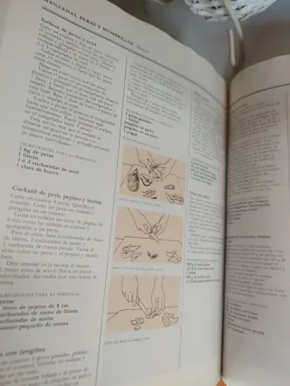 Libro de alimentación natural