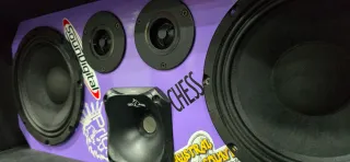 Cajón 2x8 2 Tweeters 1 Trompeta Filtro 3 Vías