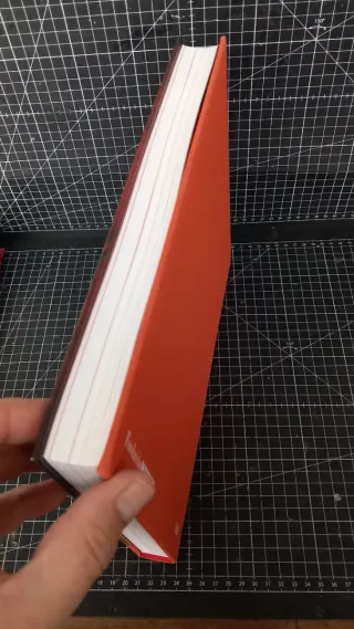 Claudia Andujar la lucha Yanomami