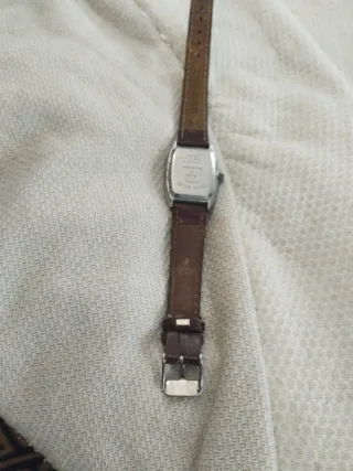 Reloj Frank Moller Marrón y Plateado