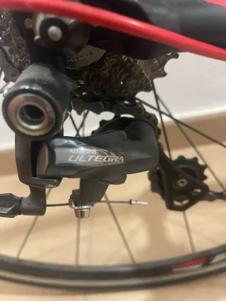 Bicicleta carretera Focus Culebro Talla XS-S