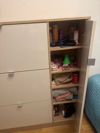 Zapatero de madera y plástico