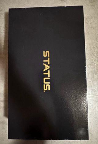 Stivali Status scamosciati neri donna