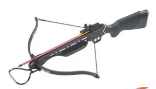 Tiro al bersaglio sportivo