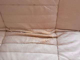 Sofá cama con funda