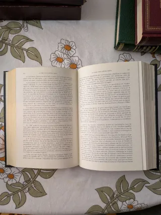 100 vascos de proyección universal