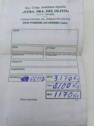 Leña de olivo para chimenea