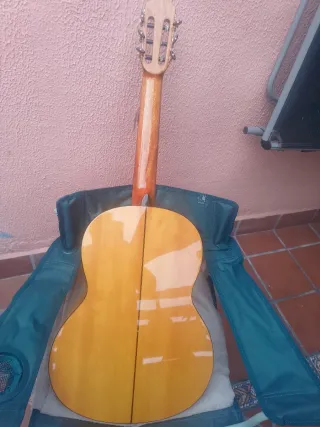 Guitarra Flamenca E.C.