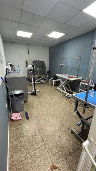 Traspaso peluquería canina