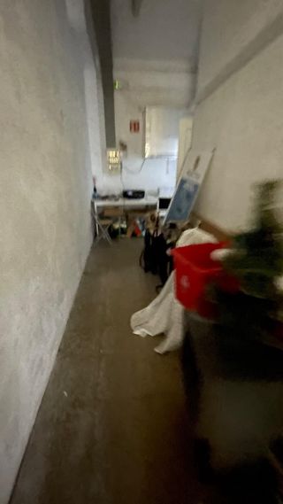 Traspaso peluquería canina