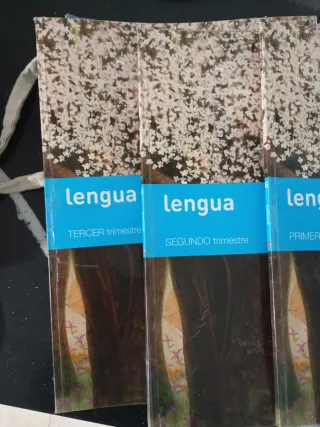 Libros de Lengua de 6 de Primaria, ediciones SM