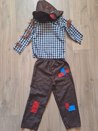 Disfraces varios desde 5€