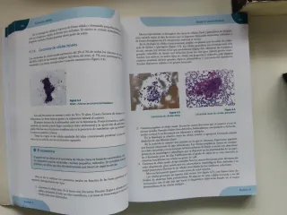 Citología general (Sanidad) (Spanish Edition)