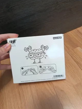 Juego de 6 puzzles metálicos