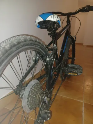 Bicicleta Infantil TDB Tracker