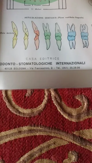 Poster Odontoiatrico Anni '60 con Cornice