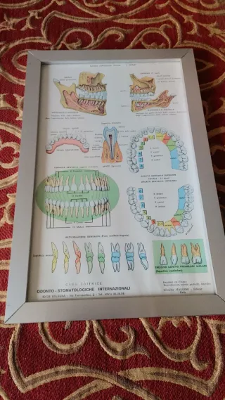 Poster Odontoiatrico Anni '60 con Cornice