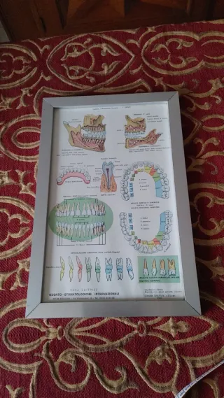Poster Odontoiatrico Anni '60 con Cornice