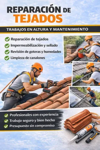 Reparación de tejados MEJOR PRECIO!!