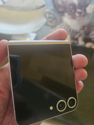 Samsung Galaxy Z Flip 6