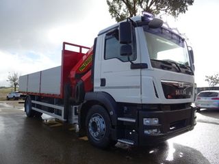MAN TGM 15 250-CAMIONES GRUAS