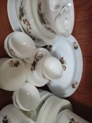 Vajilla Opalina Vintage Flor Almendro Arcopal