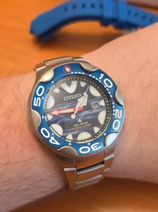 Citizen Promaster "Orca" Special Edition