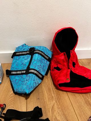 Kit para perro: Arnés, correa y más