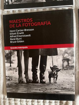Colección Maestros de la Fotografía