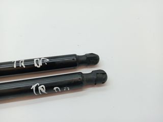 AMORTIGUADORES MALETERO / PORTON FIAT TIPO II (357) FAM