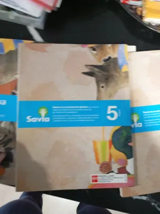 Tres libros de 5 de Primaria de Lengua, es. SM