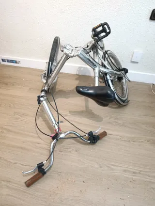 Bicicleta plegable Cinzia